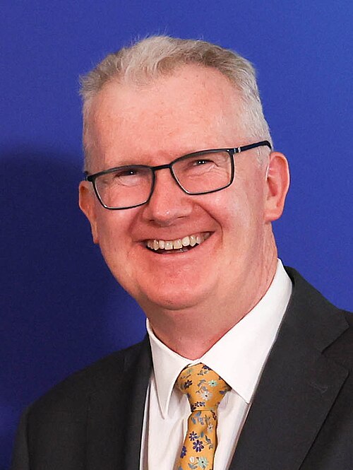 Tony Burke portrait